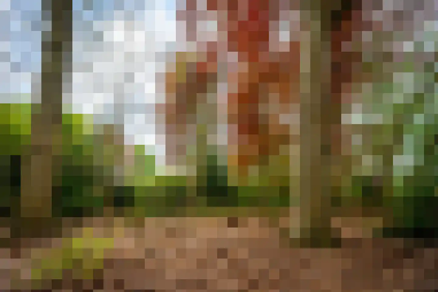Tiendweg 28 Zeist thumbnail 44