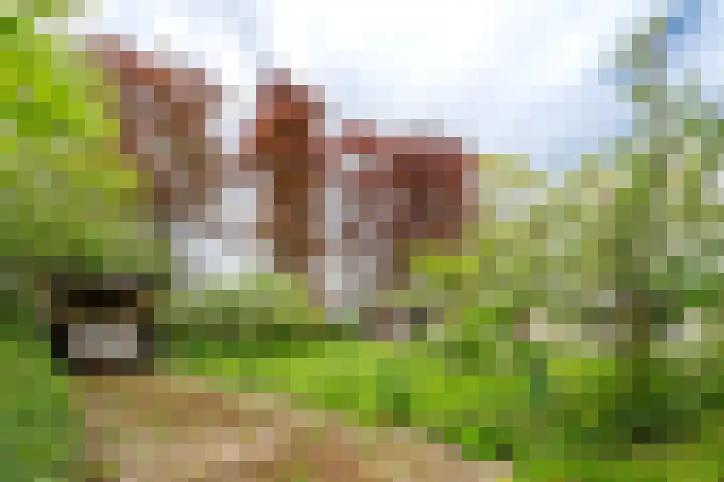 Tiendweg 28 Zeist thumbnail 45