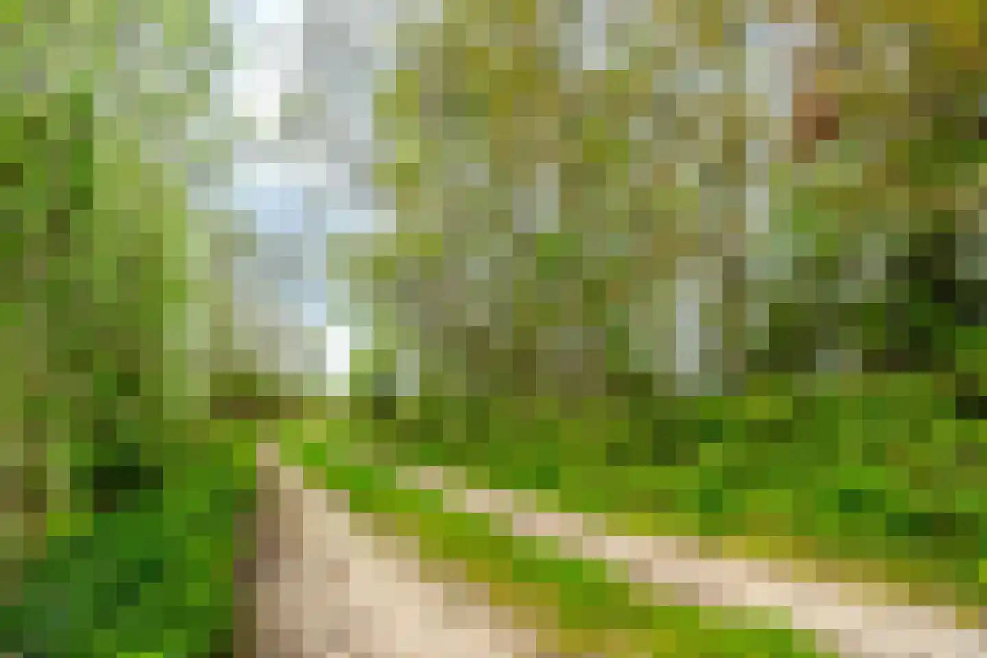 Tiendweg 28 Zeist thumbnail 47