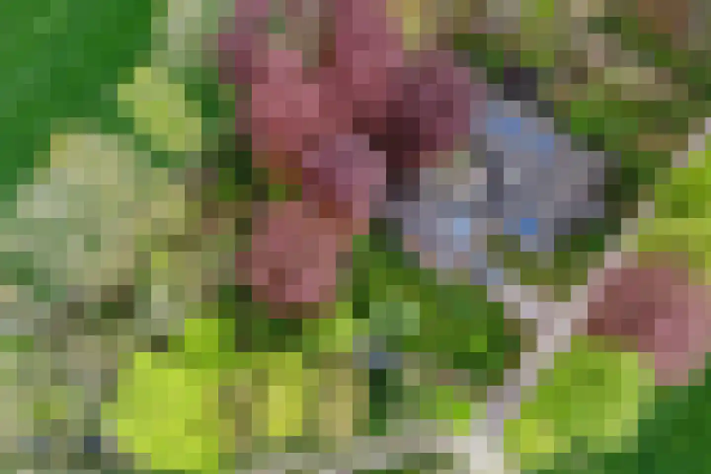Tiendweg 28 Zeist thumbnail 52