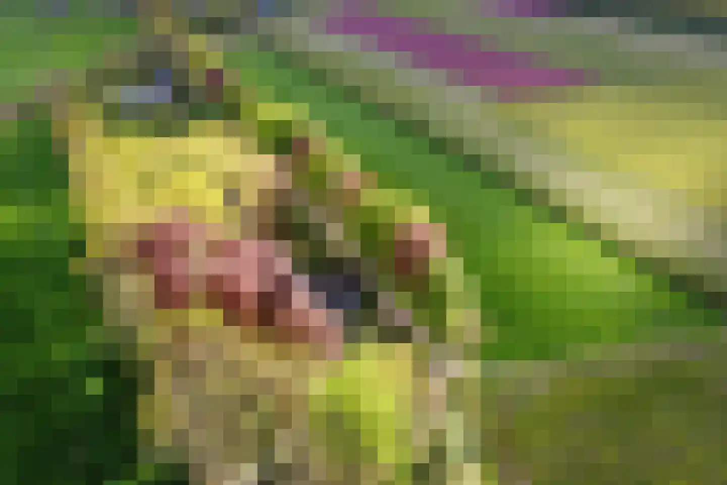 Tiendweg 28 Zeist thumbnail 53