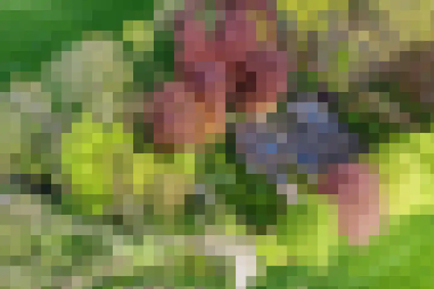 Tiendweg 28 Zeist thumbnail 54