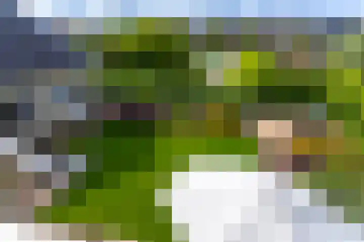 Tiendweg 30 Hardinxveld-Giessendam thumbnail 29