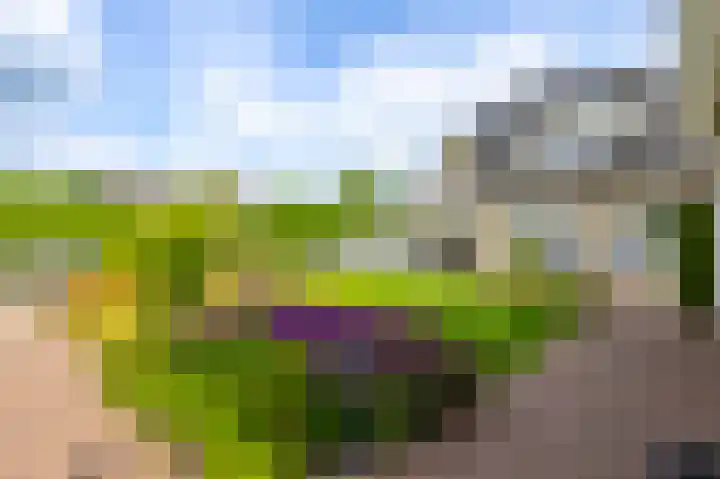 Tiendweg 30 Hardinxveld-Giessendam thumbnail 34