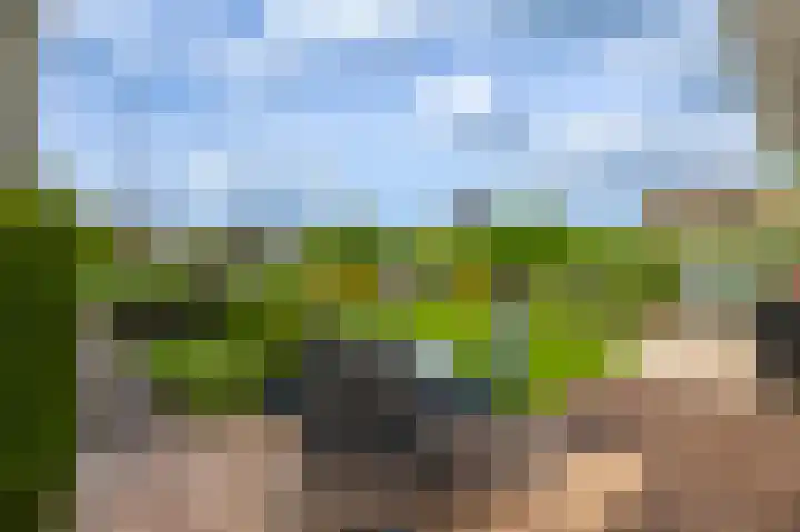 Tiendweg 30 Hardinxveld-Giessendam thumbnail 35