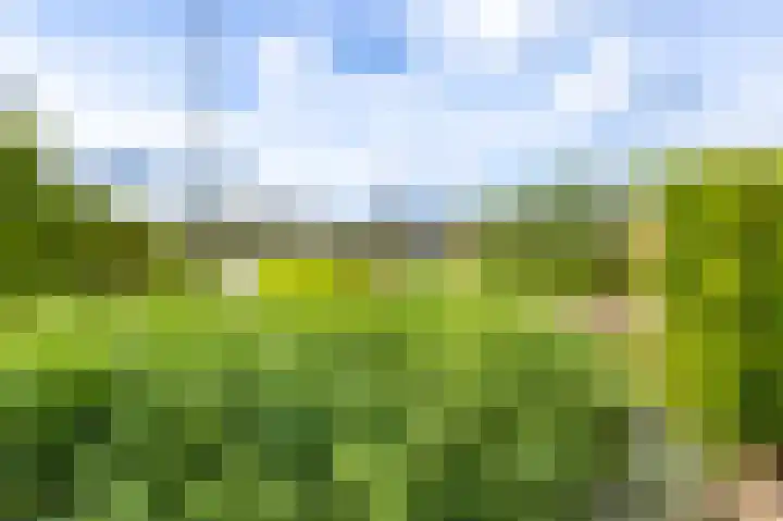 Tiendweg 30 Hardinxveld-Giessendam thumbnail 36
