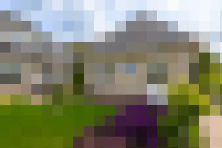 Tiendweg 30 Hardinxveld-Giessendam thumbnail 37