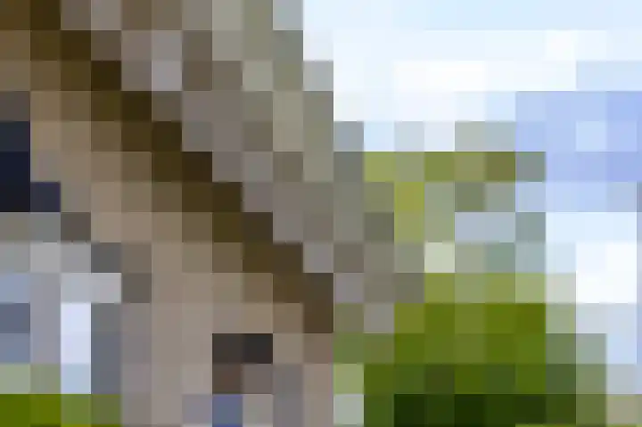 Tiendweg 30 Hardinxveld-Giessendam thumbnail 41