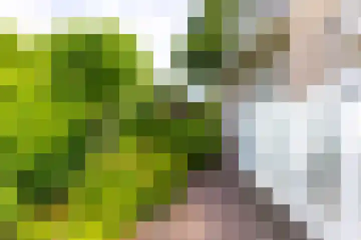 Tiendweg 30 Hardinxveld-Giessendam thumbnail 42