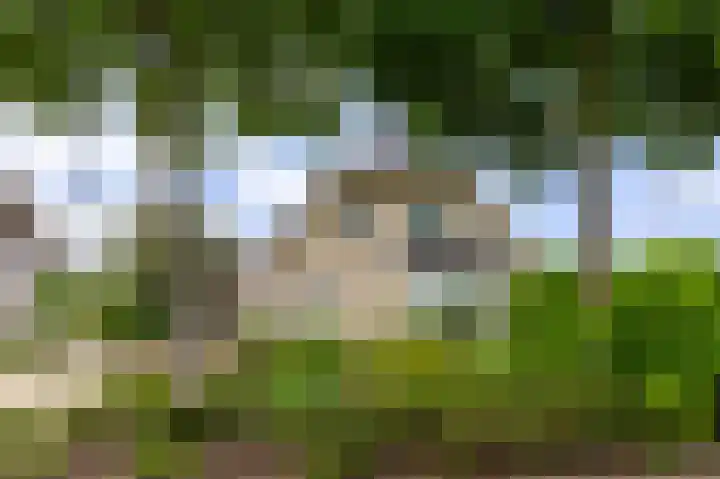 Tiendweg 30 Hardinxveld-Giessendam thumbnail 44