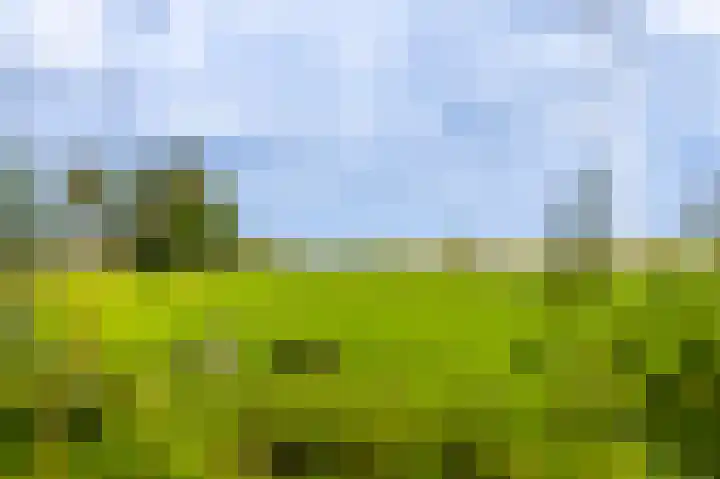 Tiendweg 30 Hardinxveld-Giessendam thumbnail 45