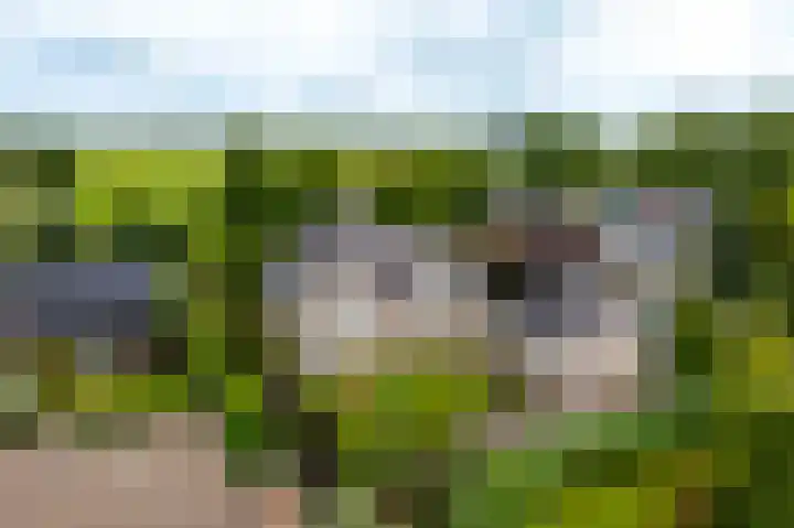 Tiendweg 30 Hardinxveld-Giessendam thumbnail 50