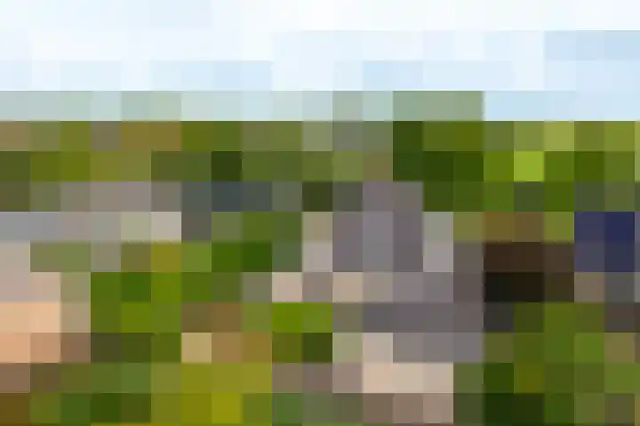 Tiendweg 30 Hardinxveld-Giessendam thumbnail 51