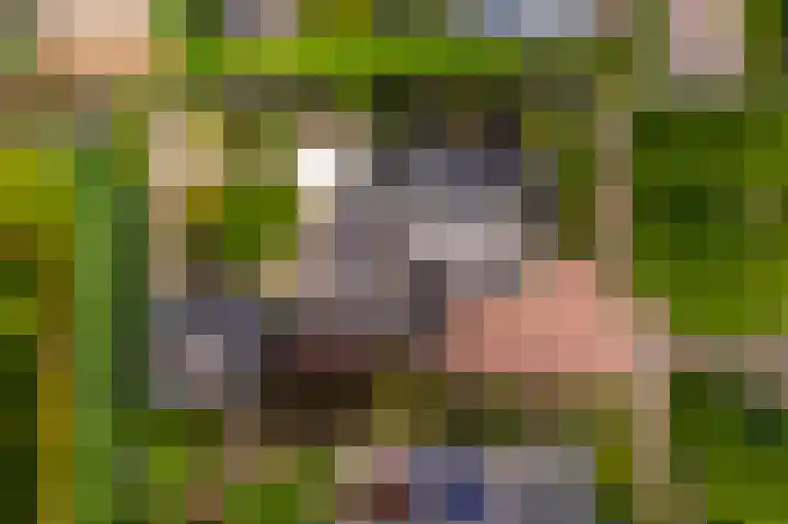 Tiendweg 30 Hardinxveld-Giessendam thumbnail 52