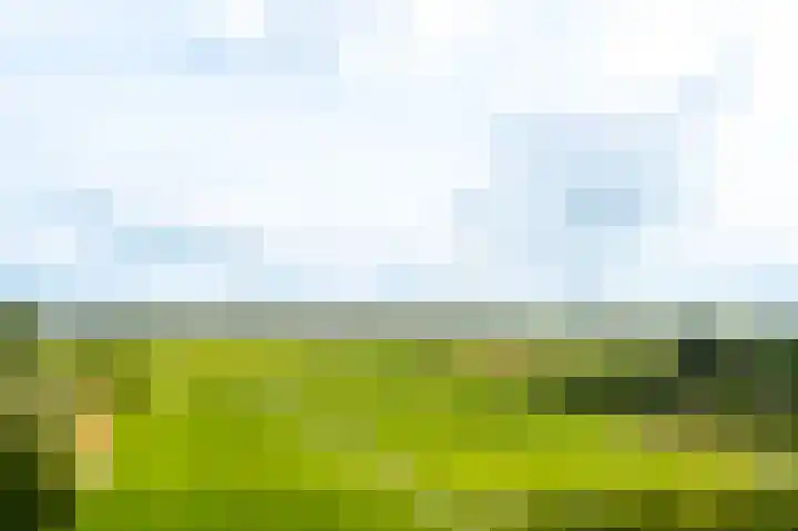 Tiendweg 30 Hardinxveld-Giessendam thumbnail 53