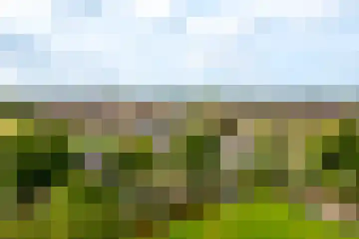 Tiendweg 30 Hardinxveld-Giessendam thumbnail 54