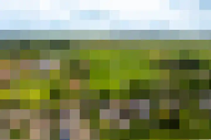 Tiendweg 30 Hardinxveld-Giessendam thumbnail 55