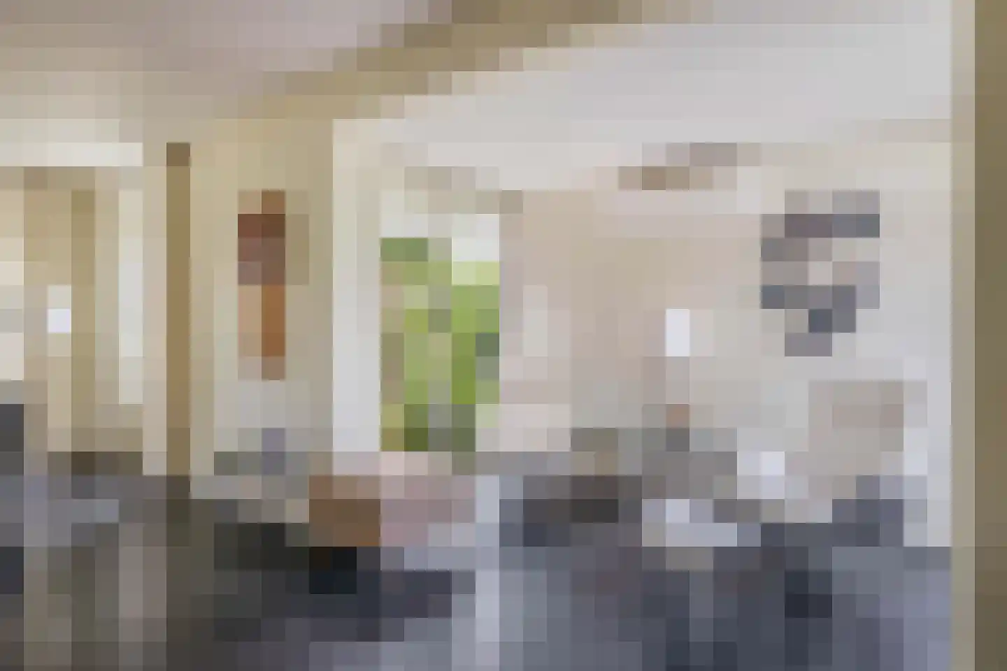 Tiendweg 34 Krimpen aan de Lek thumbnail 16