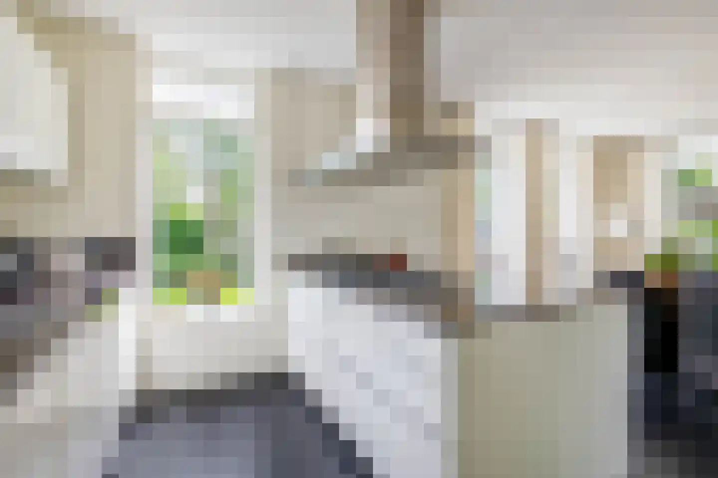 Tiendweg 34 Krimpen aan de Lek thumbnail 20