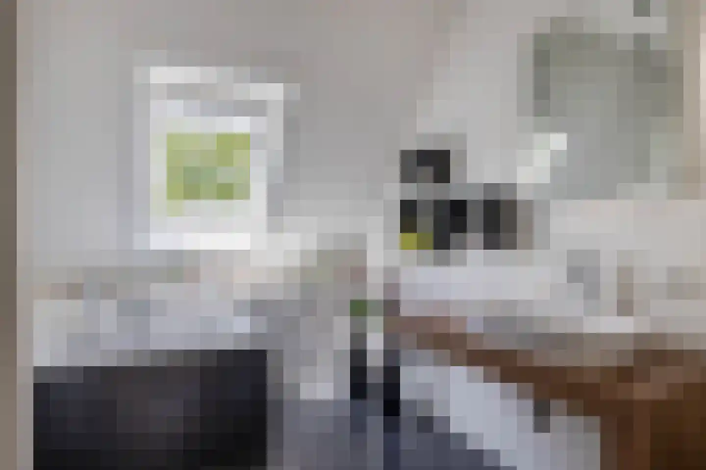 Tiendweg 34 Krimpen aan de Lek thumbnail 40