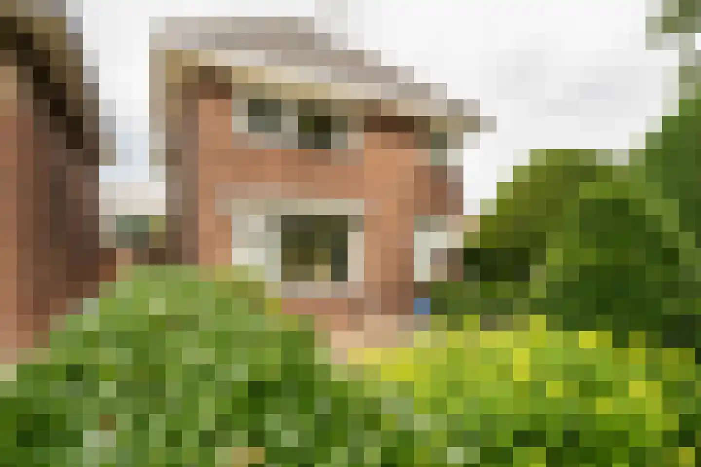Tiendweg 38 Leerdam thumbnail 65