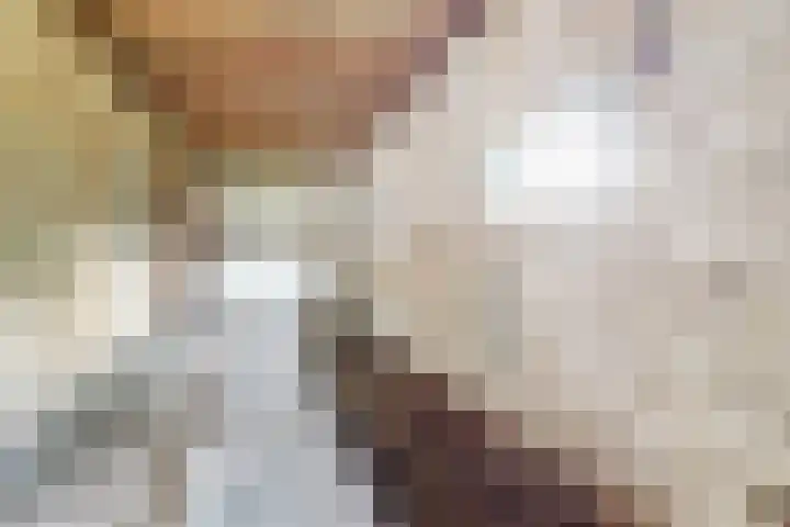 Tiendweg 5 Lopik thumbnail 16