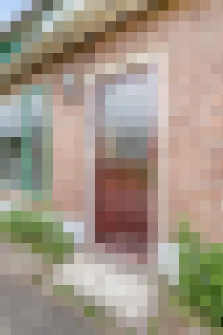 Tiendweg 5 Lopik thumbnail 4