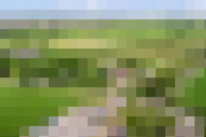 Tiendweg 5 Lopik thumbnail 43