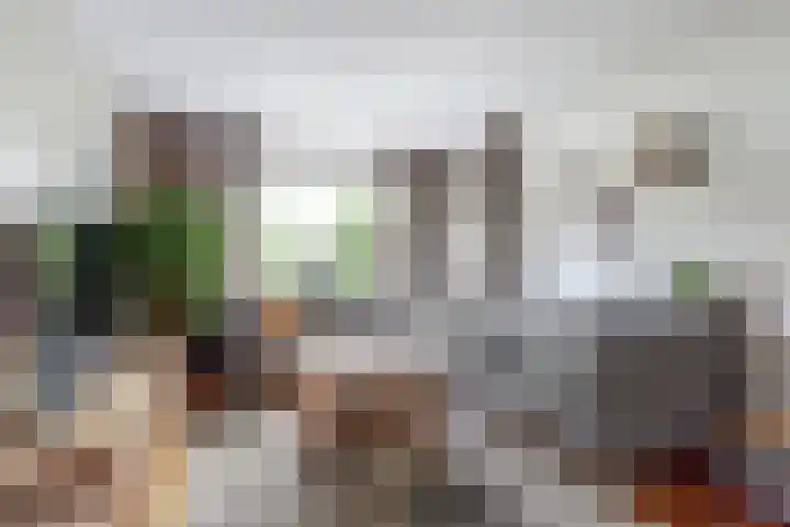 Tiendweg 96 Leerdam thumbnail 7