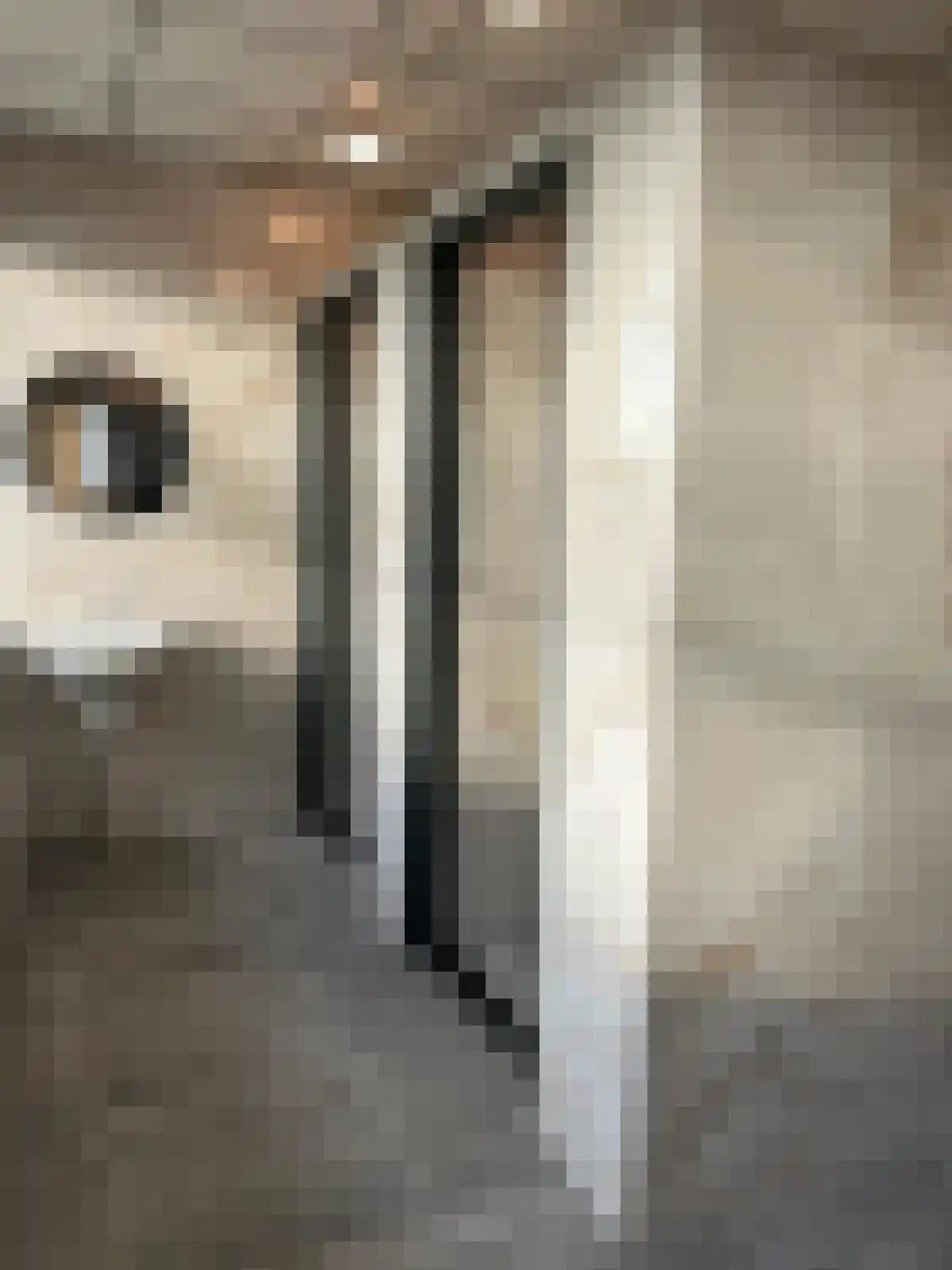 Tiendweg Naaldwijk thumbnail 6