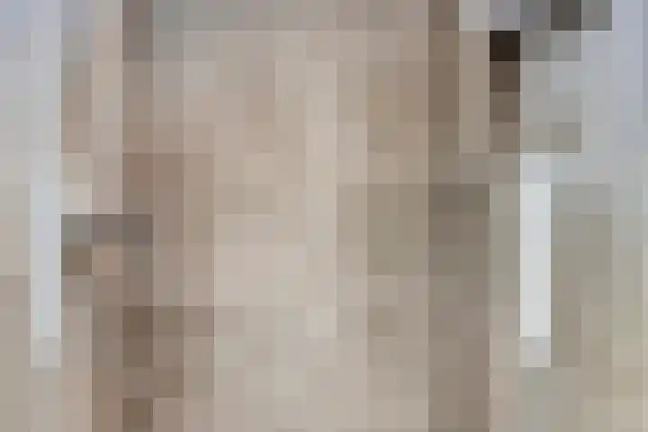 Tiendweg-Oost 19 a Lekkerkerk thumbnail 19
