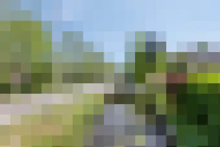 Tiendweg-Oost 19 a Lekkerkerk thumbnail 27