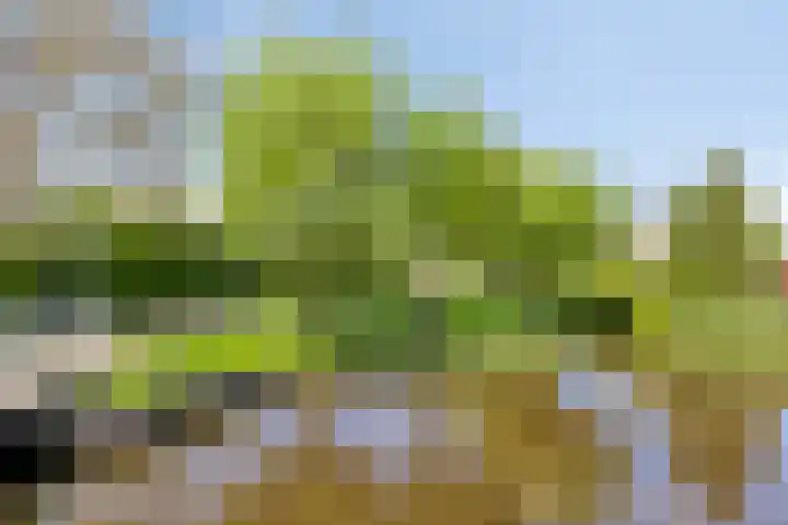 Tiendweg-Oost 19 a Lekkerkerk thumbnail 28