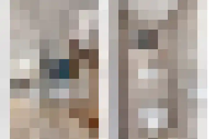 Tiendweg-Oost 19 a Lekkerkerk thumbnail 7