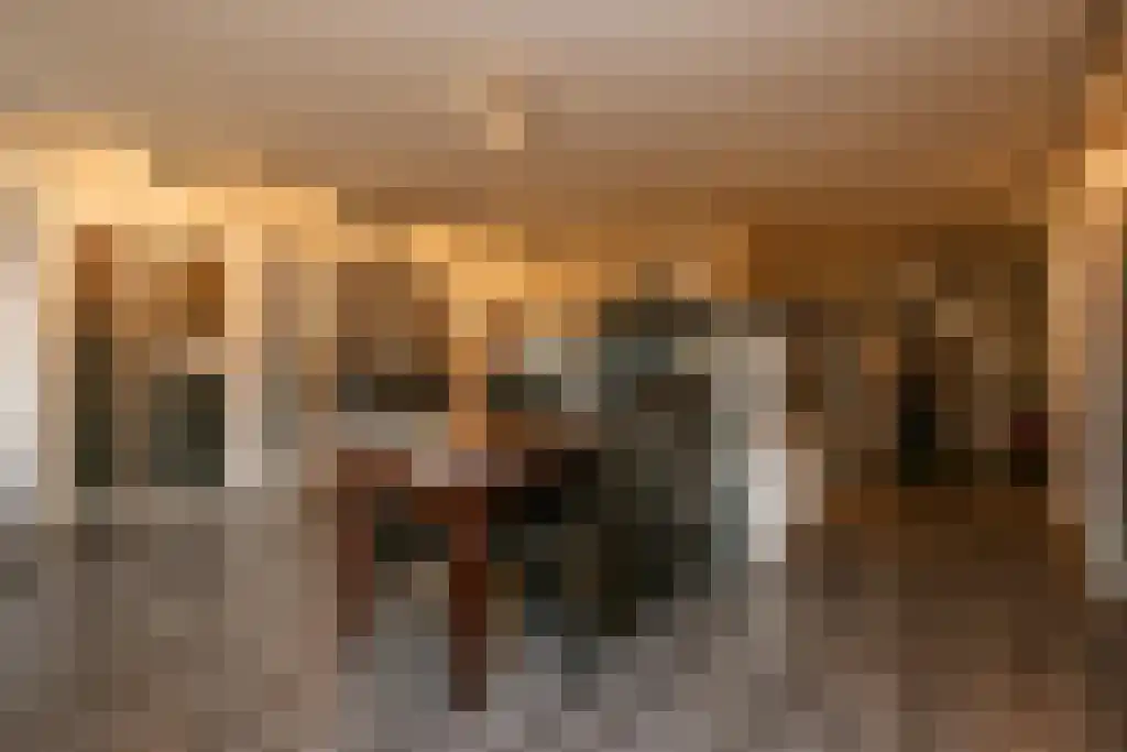 Tiendweg-Oost 6 Lekkerkerk thumbnail 23