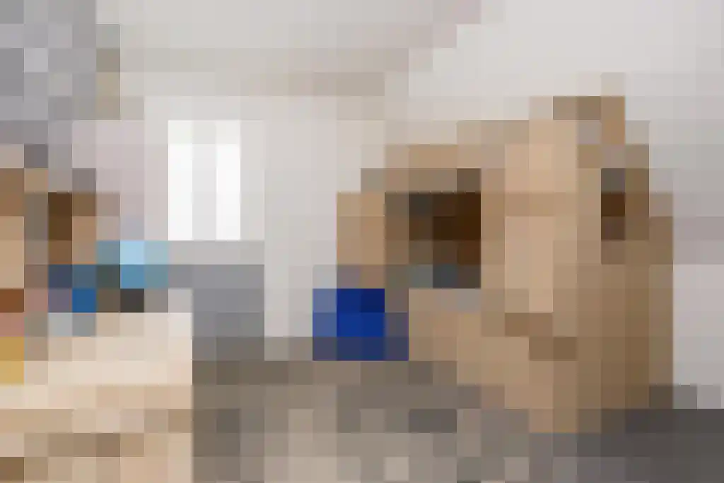 Tiendweg-Oost 6 Lekkerkerk thumbnail 25