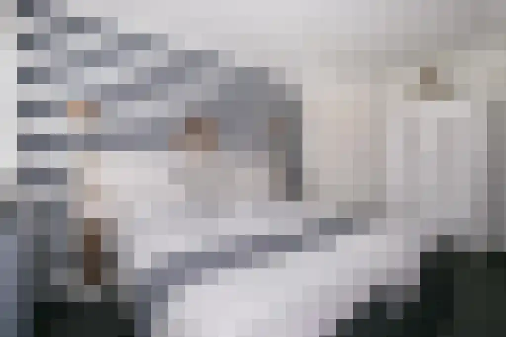 Tiendweg-Oost 6 Lekkerkerk thumbnail 31