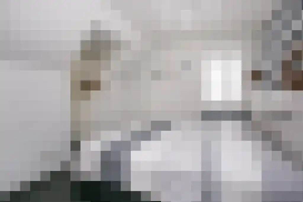 Tiendweg-Oost 6 Lekkerkerk thumbnail 32