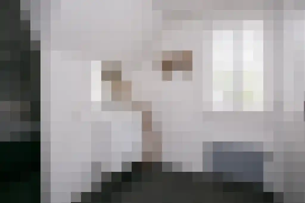 Tiendweg-Oost 6 Lekkerkerk thumbnail 33