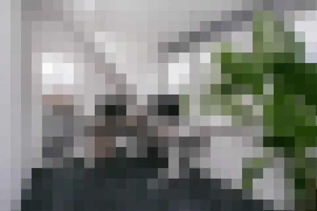 Tiendweg-Oost 6 Lekkerkerk thumbnail 37