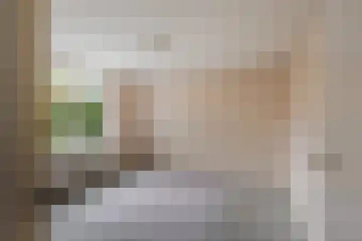 Tiendweg-West 23 Lekkerkerk thumbnail 17