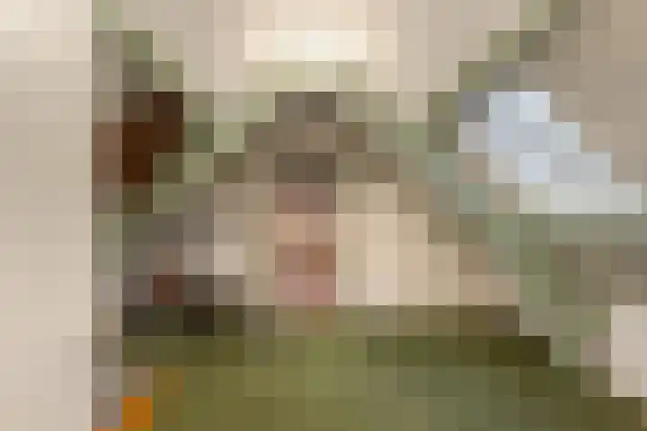 Tiendweg-West 23 Lekkerkerk thumbnail 23