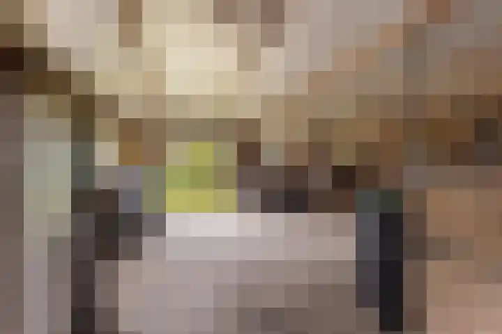 Tiendweg-West 23 Lekkerkerk thumbnail 34