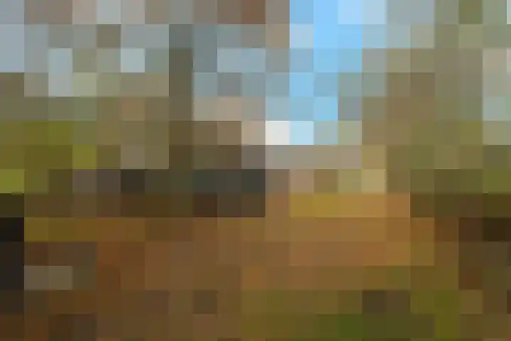 Tiendweg-West 23 Lekkerkerk thumbnail 35