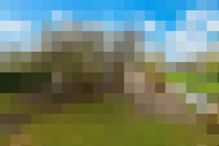 Tiendweg-West 23 Lekkerkerk thumbnail 36