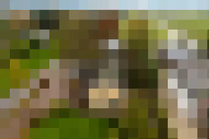 Tiendweg-West 23 Lekkerkerk thumbnail 38