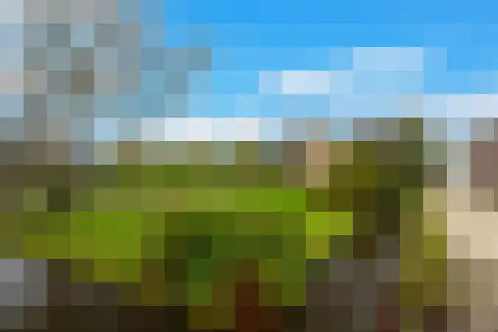 Tiendweg-West 23 Lekkerkerk thumbnail 39