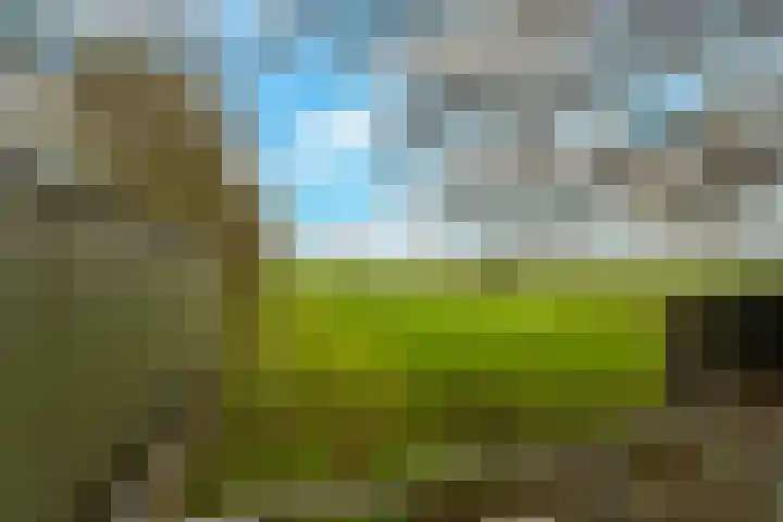 Tiendweg-West 23 Lekkerkerk thumbnail 4