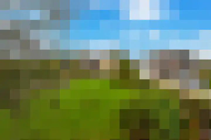 Tiendweg-West 23 Lekkerkerk thumbnail 40