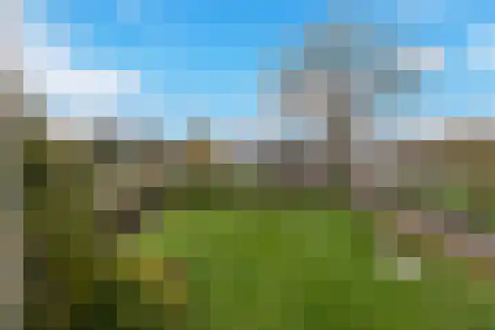 Tiendweg-West 23 Lekkerkerk thumbnail 41